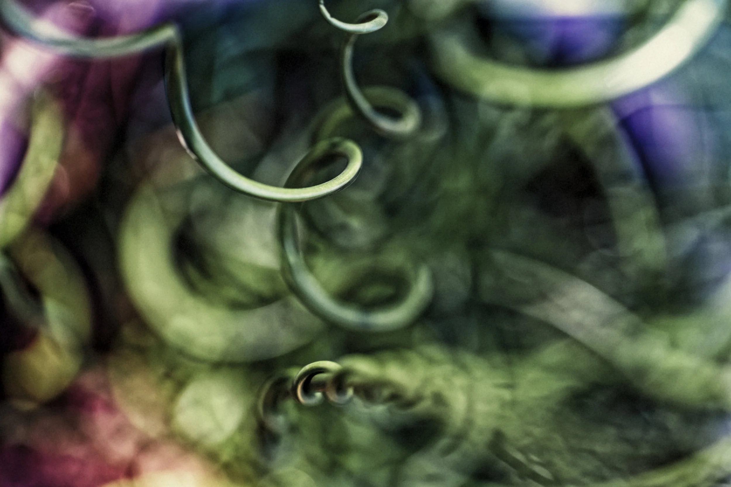 JEN_Floral Study 1_web-7.jpg