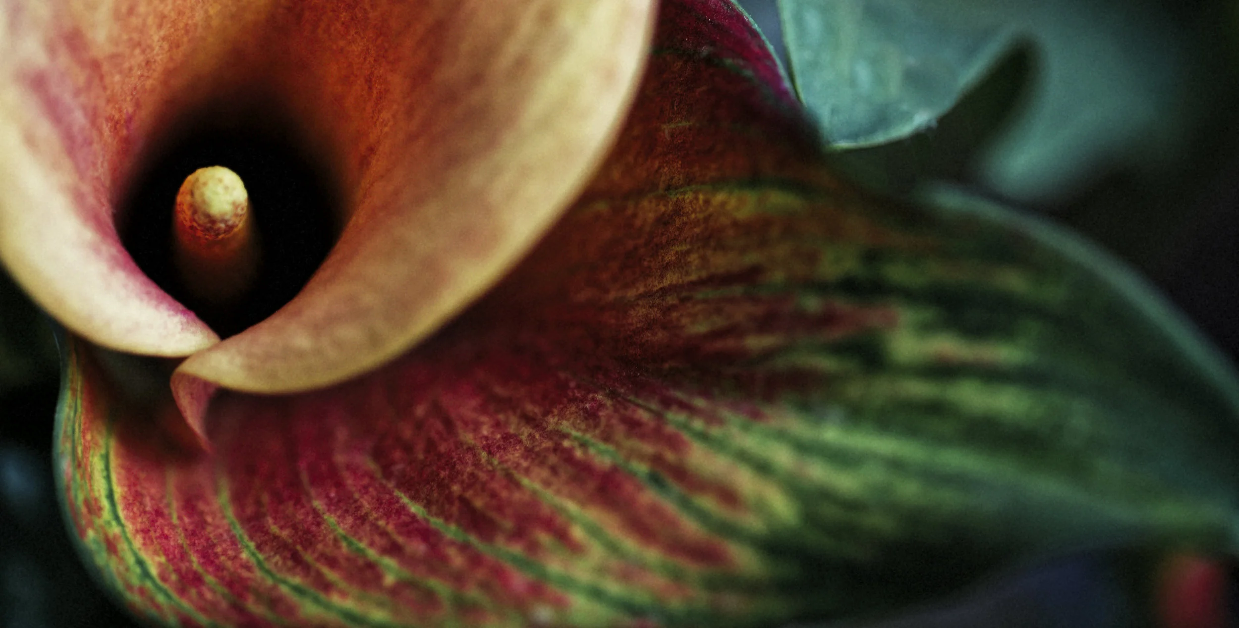 Hudson Porch Master-b-3.jpg