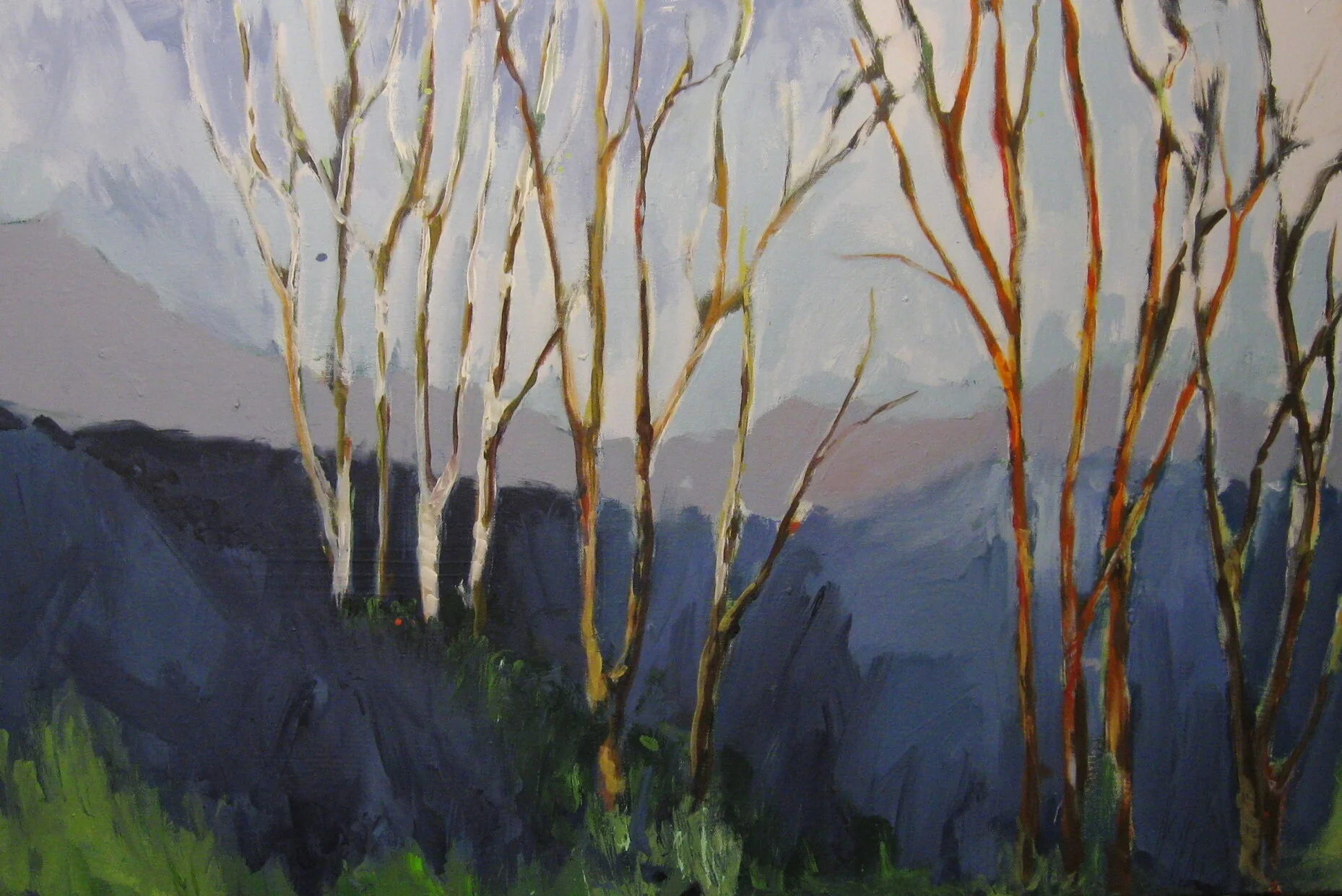 Blue Hills-Neumayer.jpg