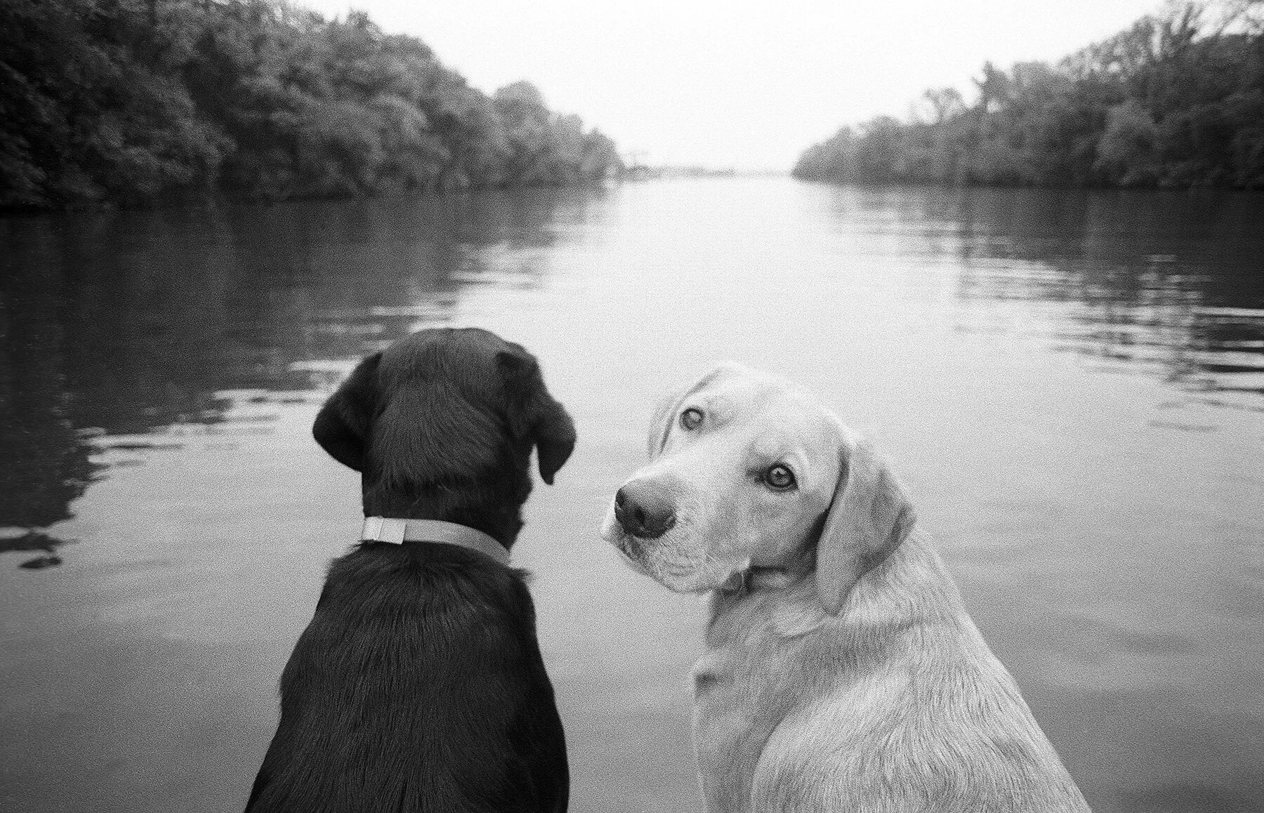 Keith Auerbach : Look Back