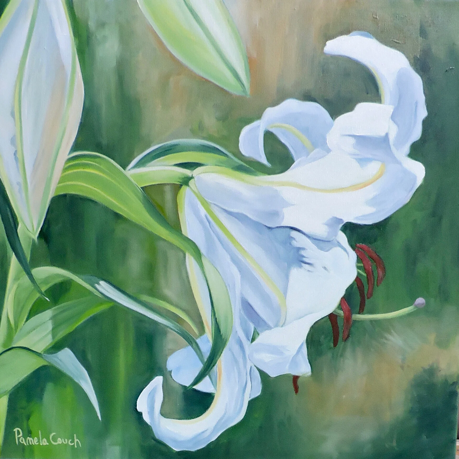 Pamela Couch : Freshness 