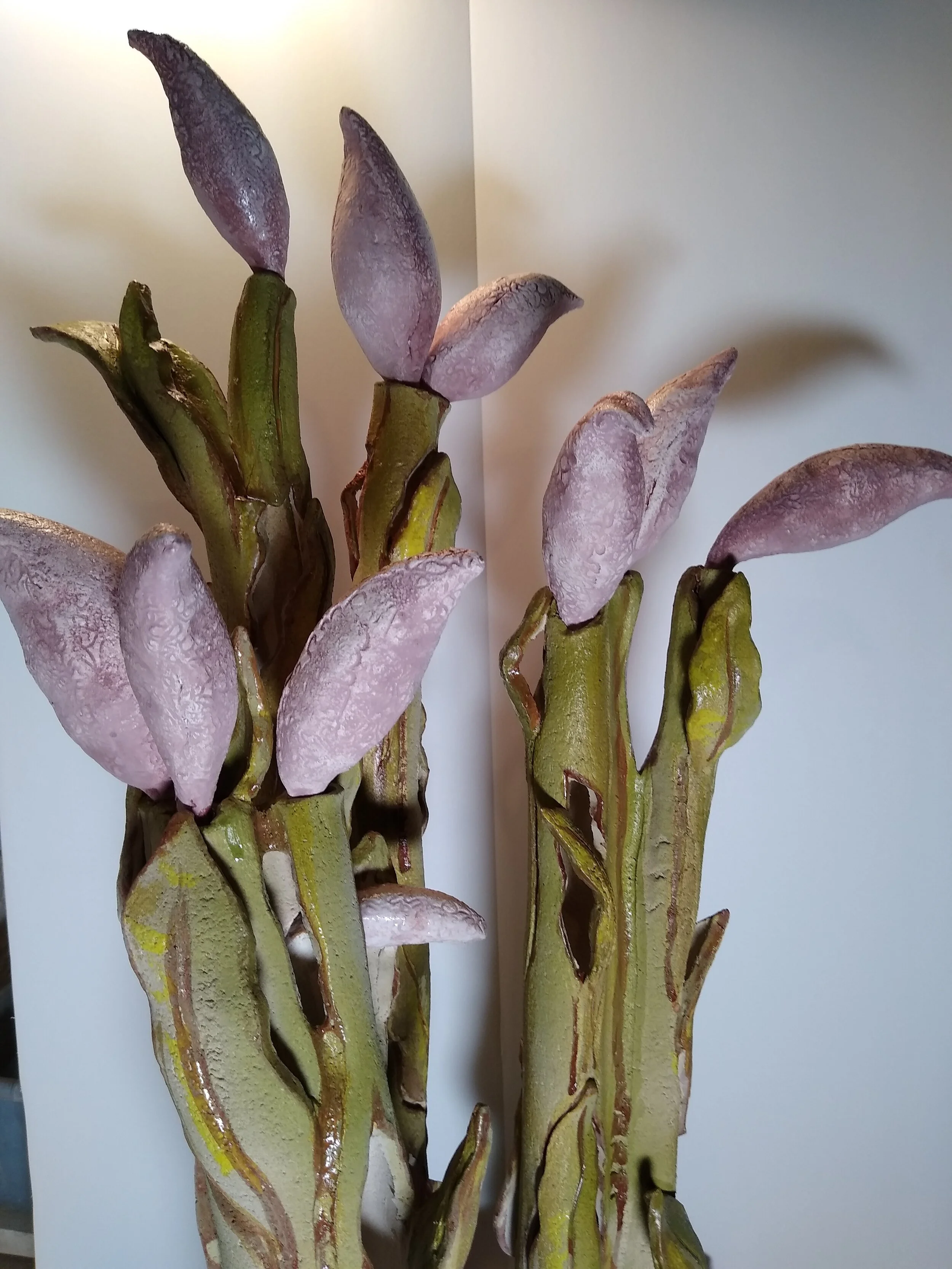 Milkweed.jpg