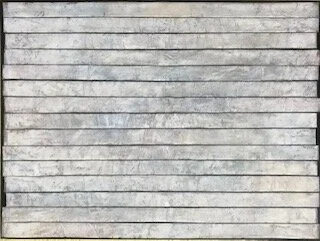 Anne Huntington : Fossil Markings