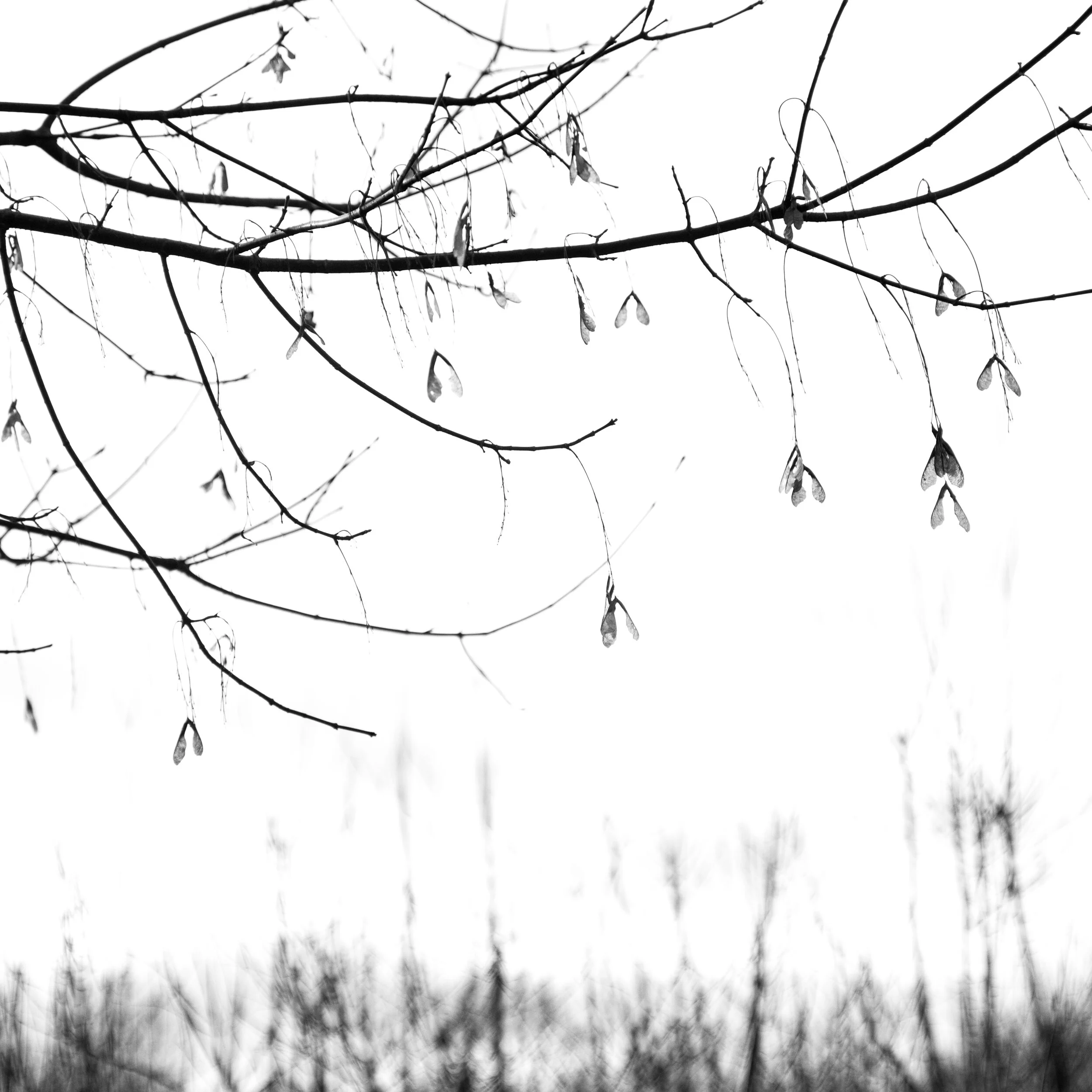 Anne Huntington : Winter