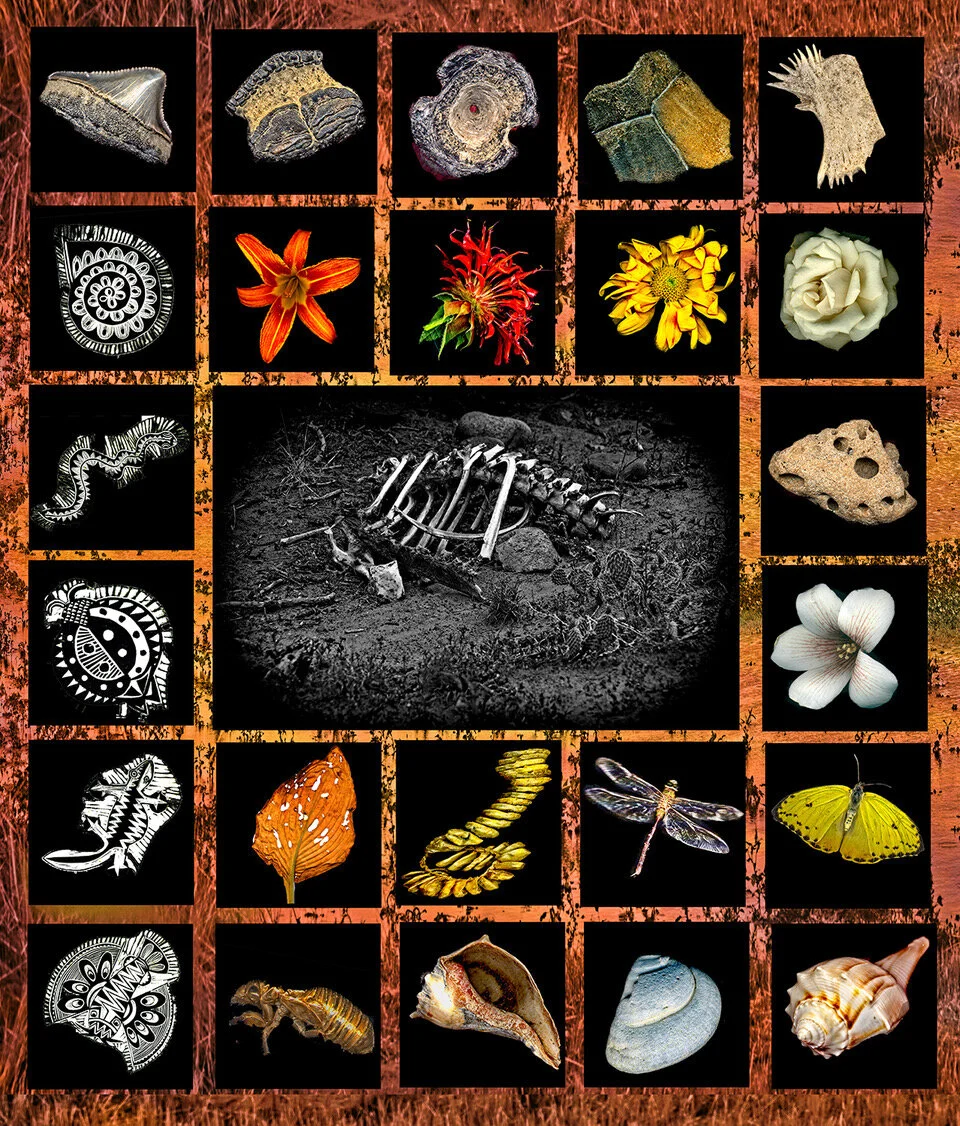 C. J. Pressma: Special Objects, 2020