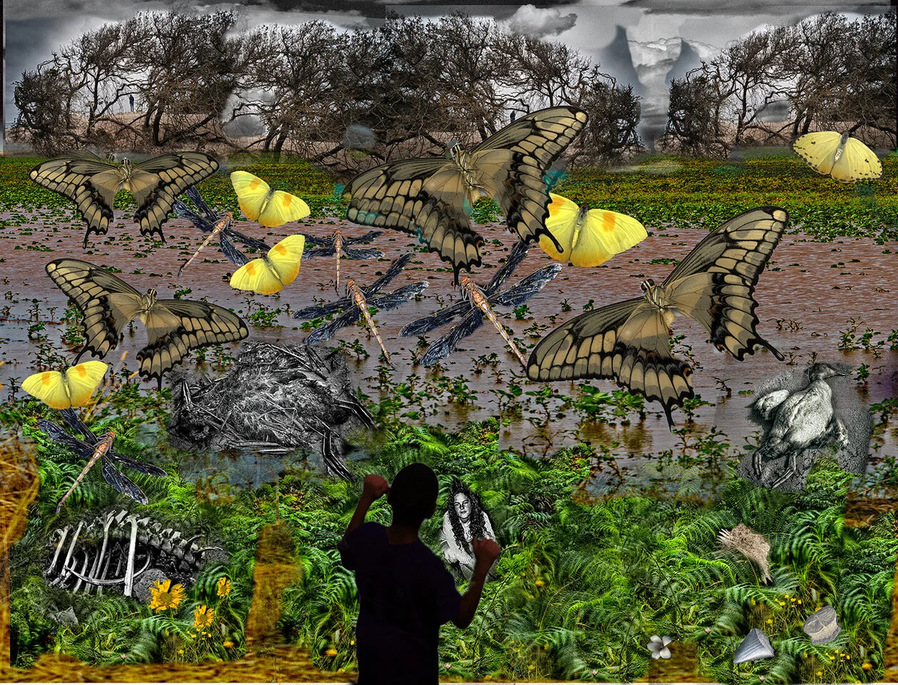 Organic College Butterflies.jpeg