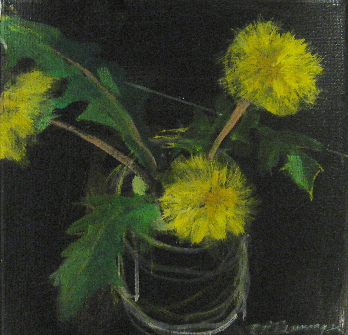 Dandy 8 x 8.JPG