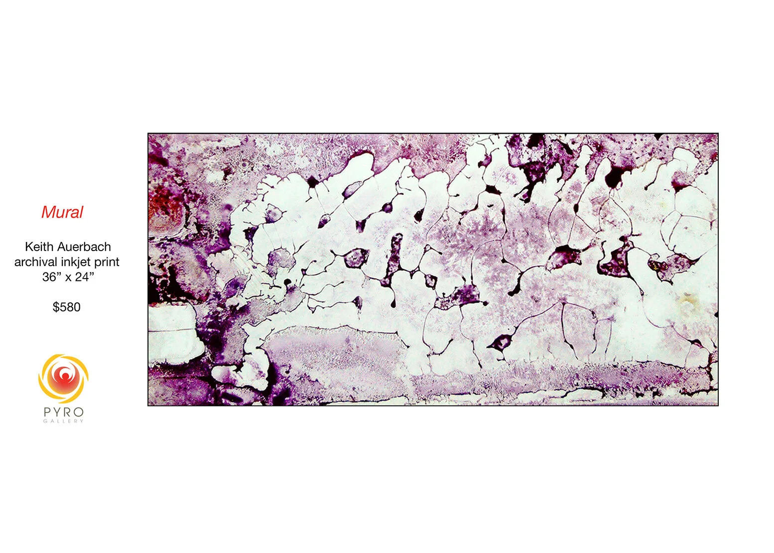 Keith Auerbach : Mural