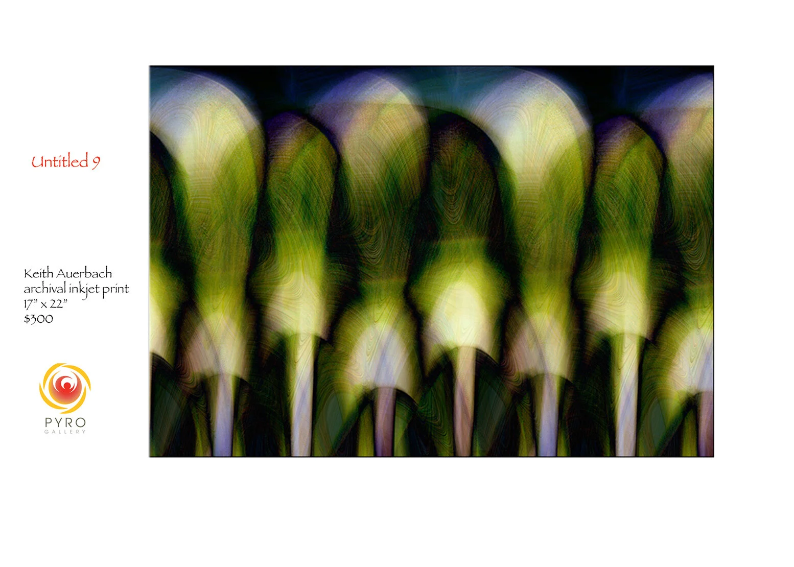 Keith Auerbach : Untitled #9