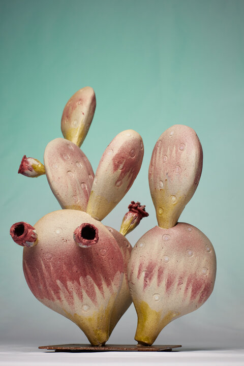 John McCarthy : Cacti