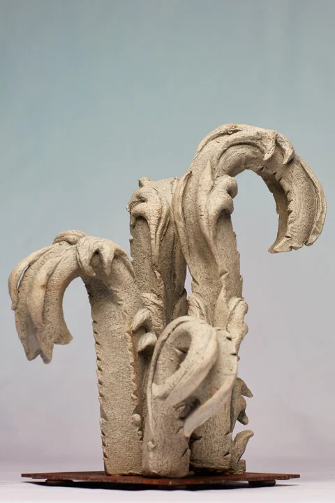 John McCarthy : Frosted Fern Fronds 