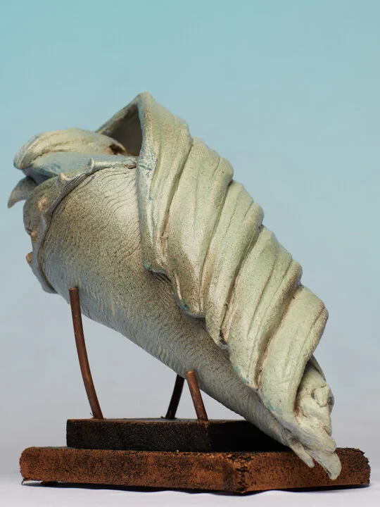 Sea Form Shell.jpg