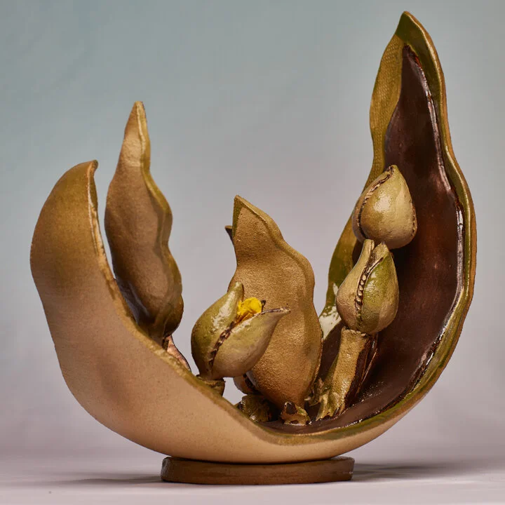 John McCarthy : Crescent Weed 