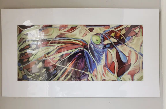 Langes Metalmark Butterfly  Matted 14x24  $39..jpg