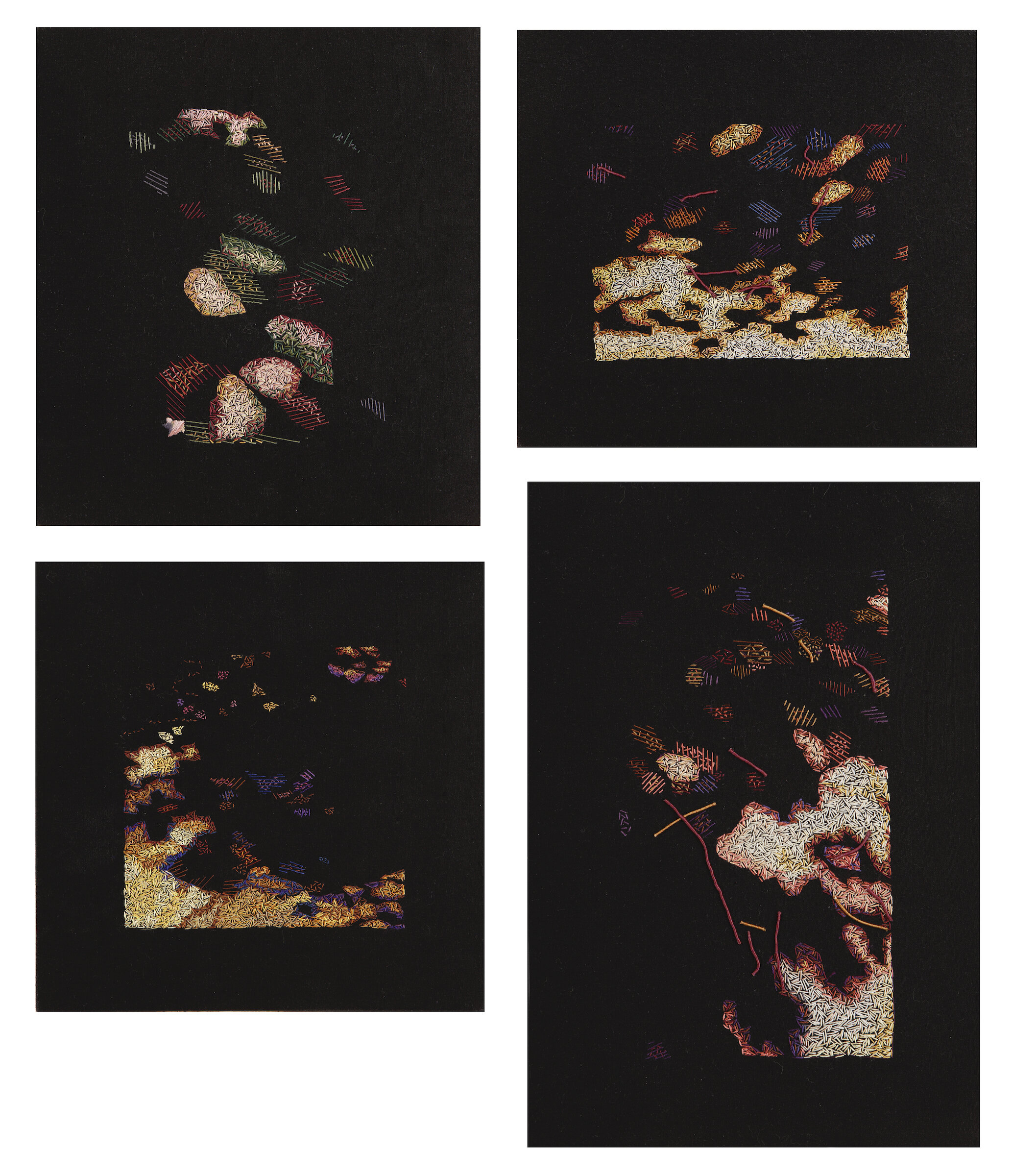 Leaf Shadows.jpg