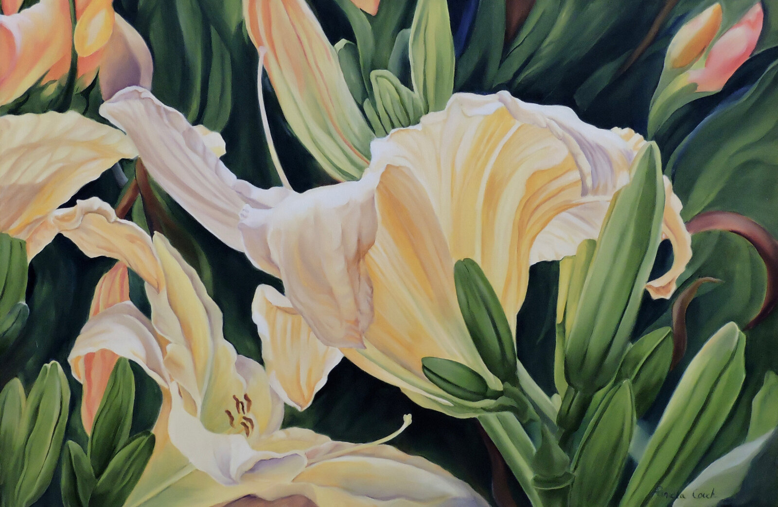 Pamela Couch : Daylilies