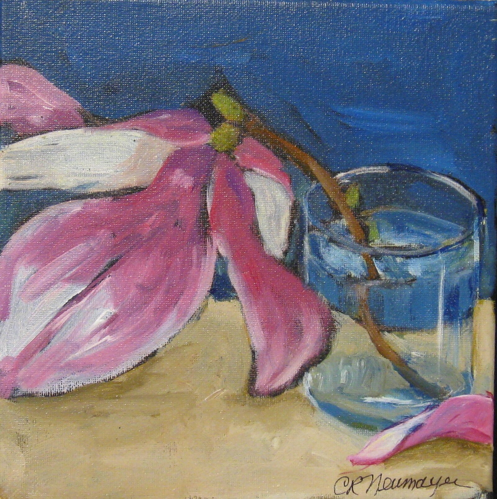 Spring Magnolia 8x8.JPG