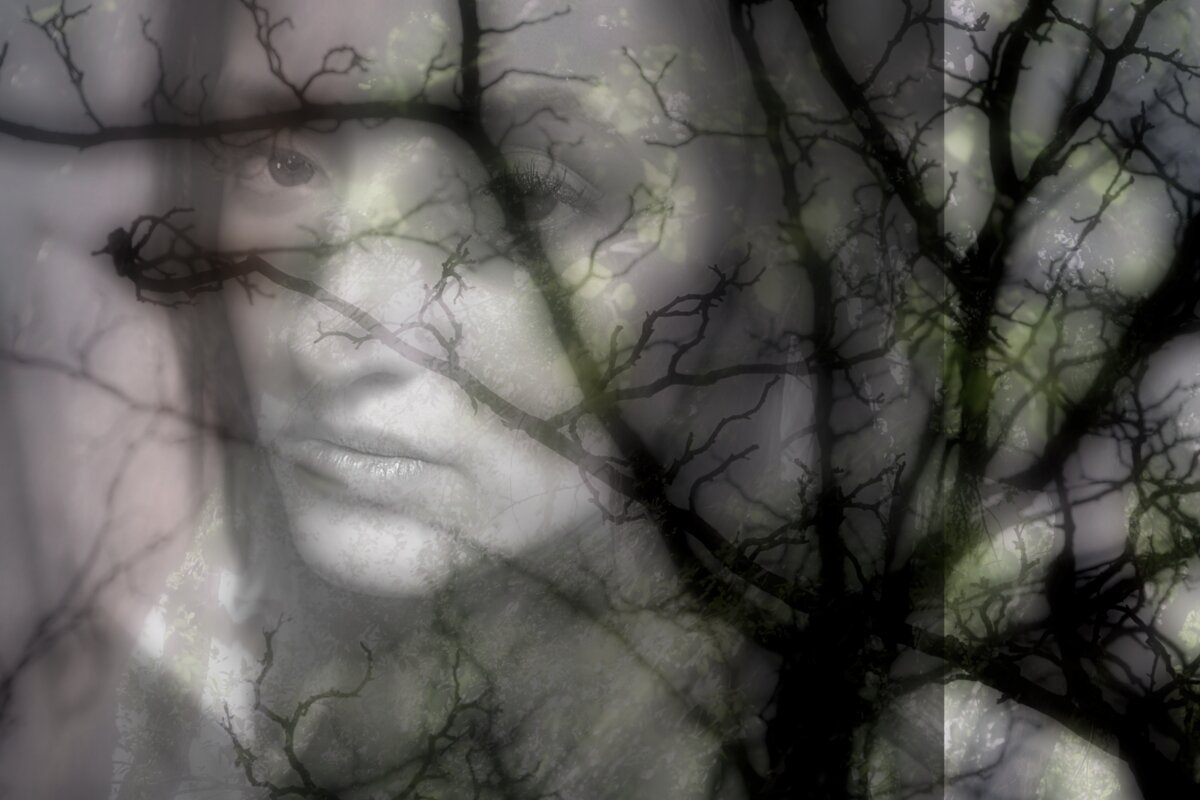 Forest Dream.jpg