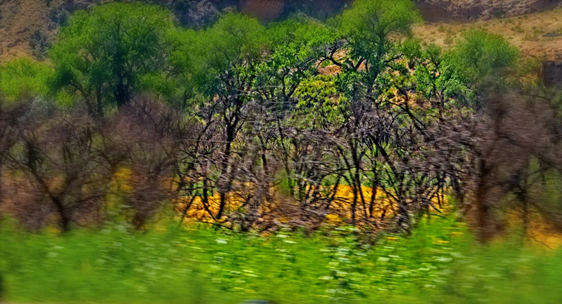 On The Road in Colorado.jpg