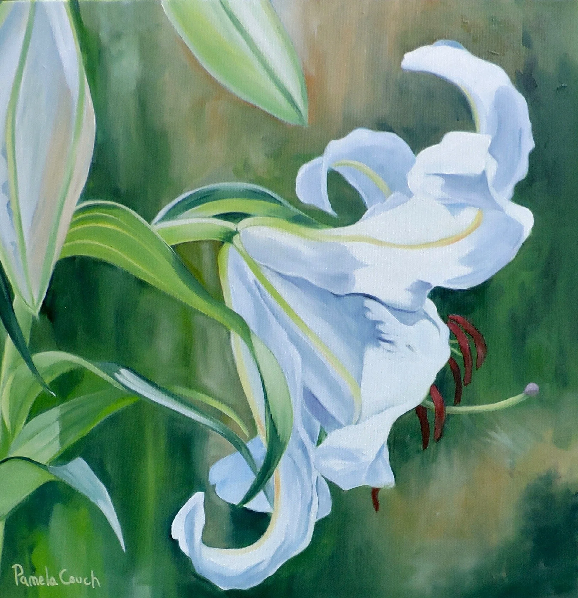 Pamela Couch : Freshness