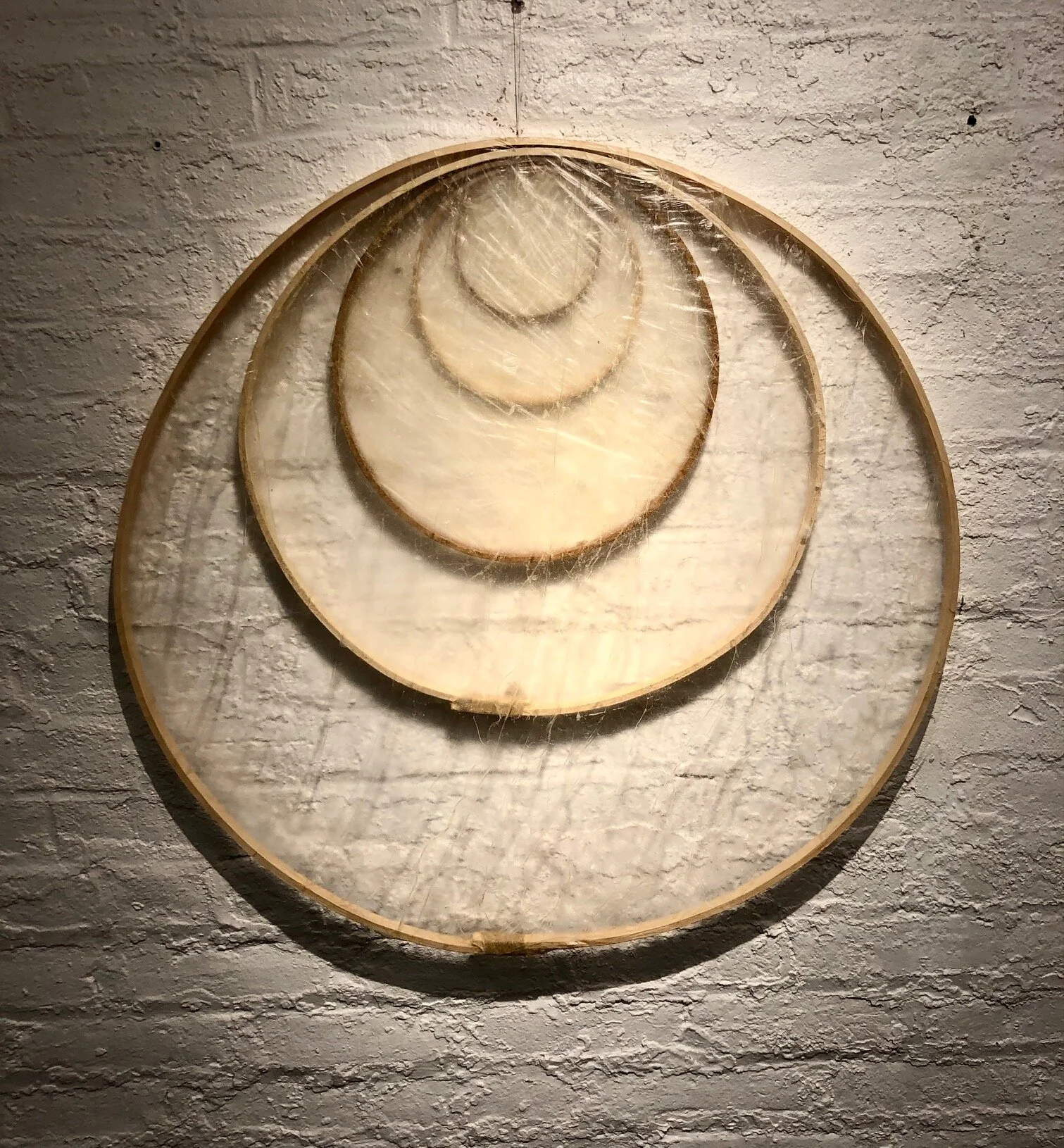 Bette Levy : Solar System