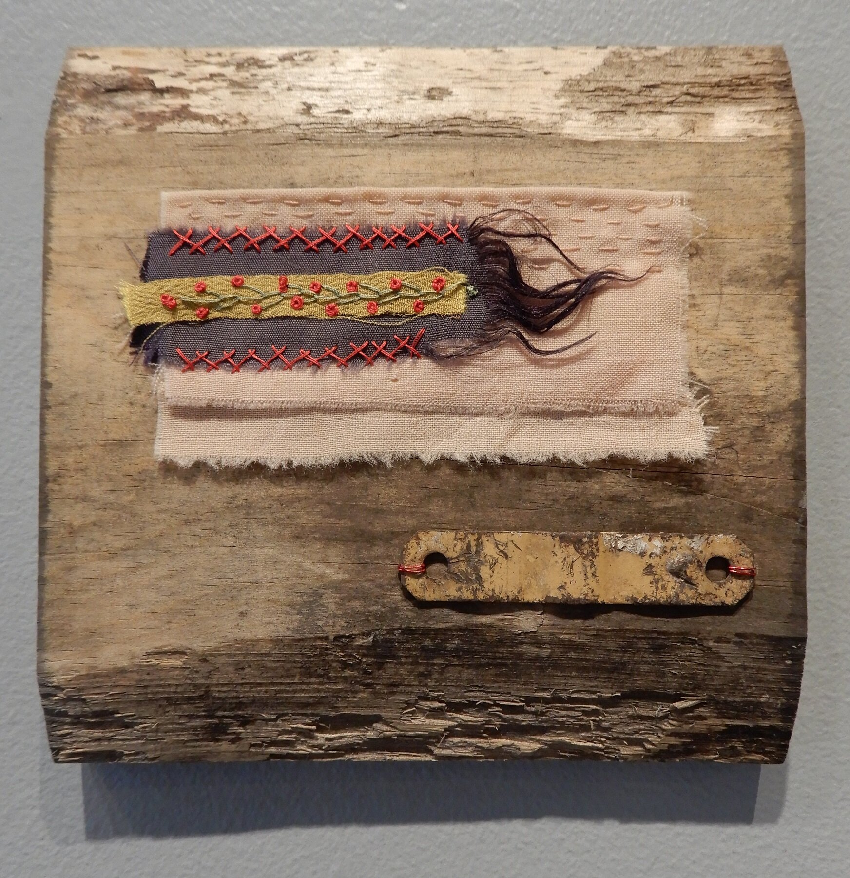 speeding vine DSCN5717.JPG