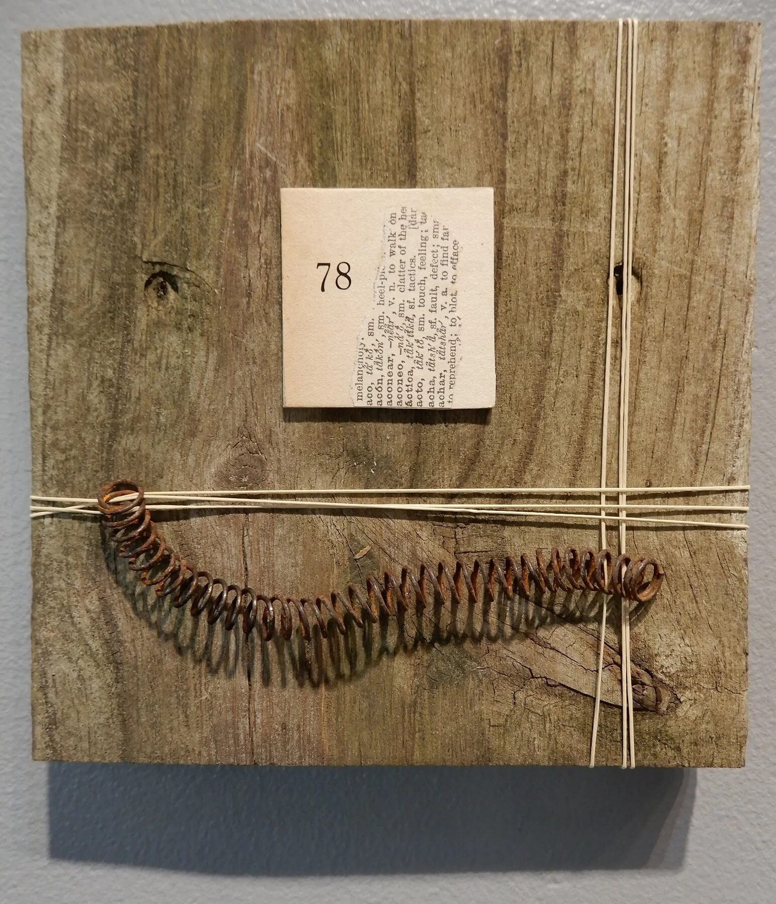 aconear DSCN5983z.jpg