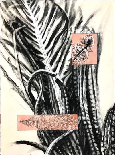 Jenny Shircliff
Fern Cycle