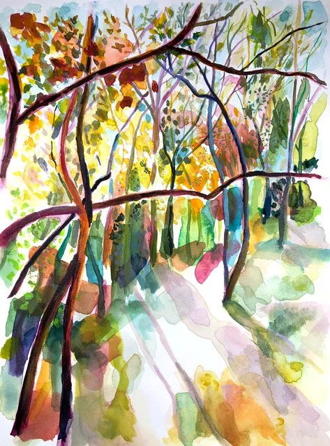 Cherokee Park bikepath fall.jpeg