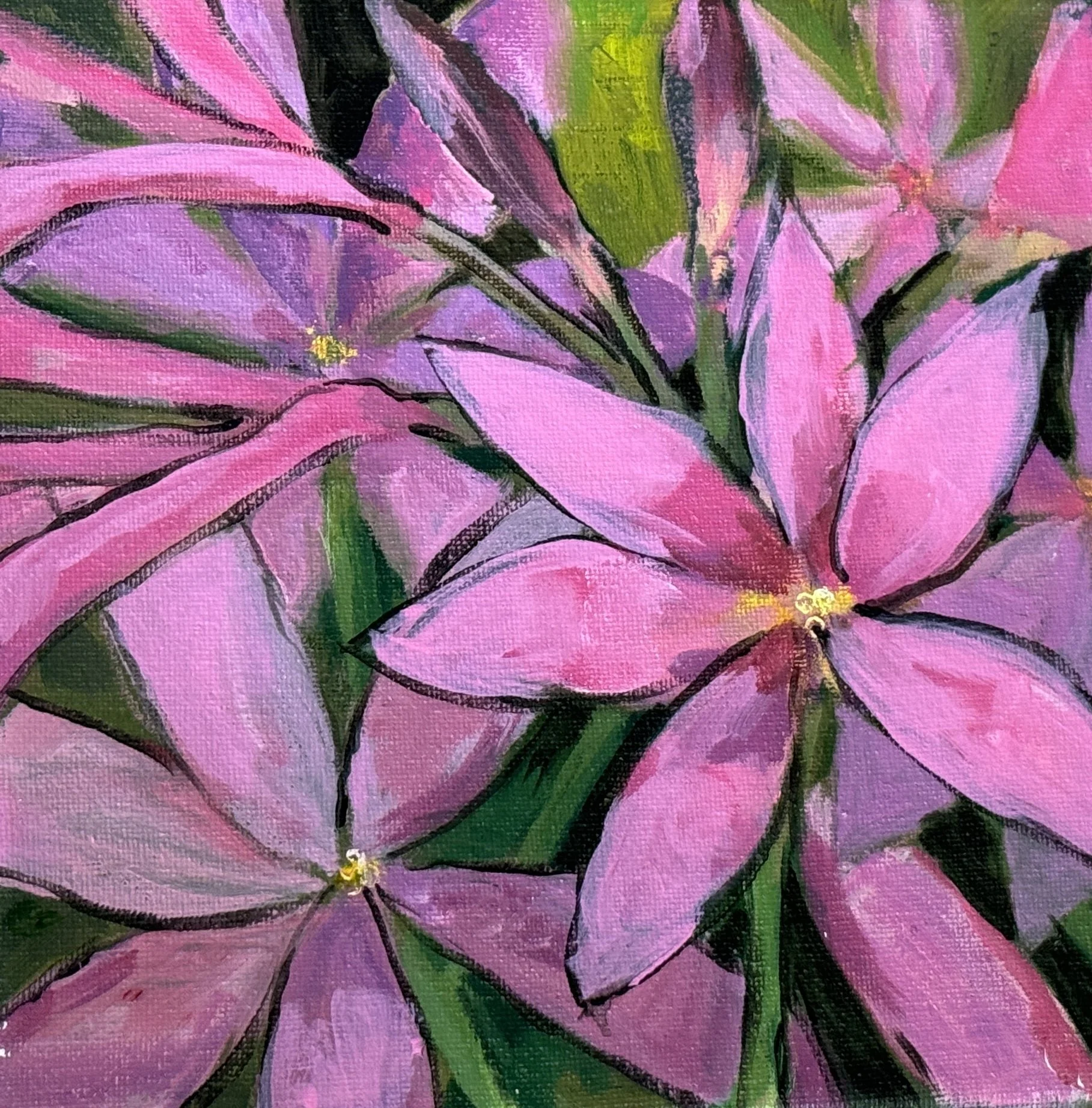 IMG_1499  explosion in pink.jpg