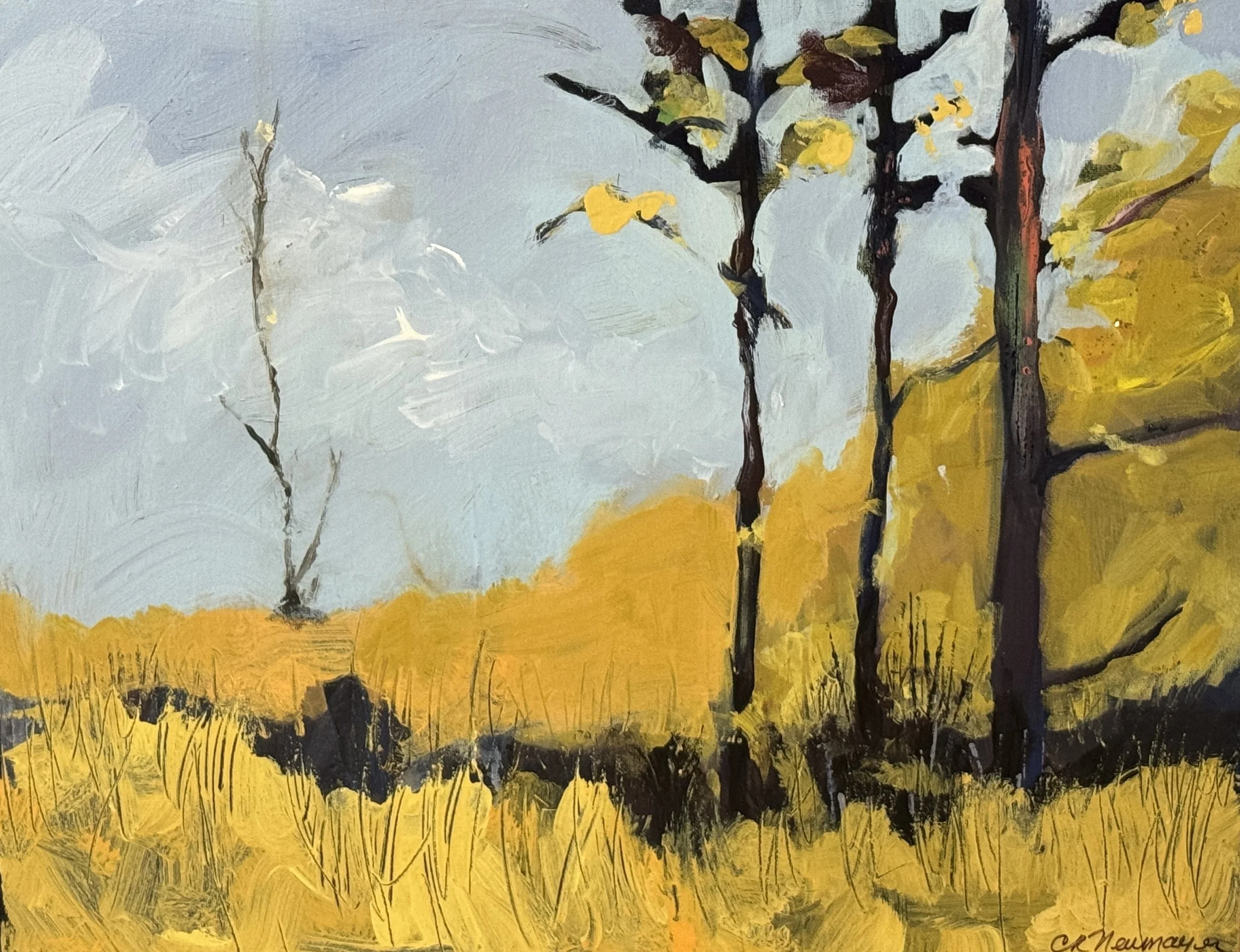 IMG_1611 it's hot.jpg