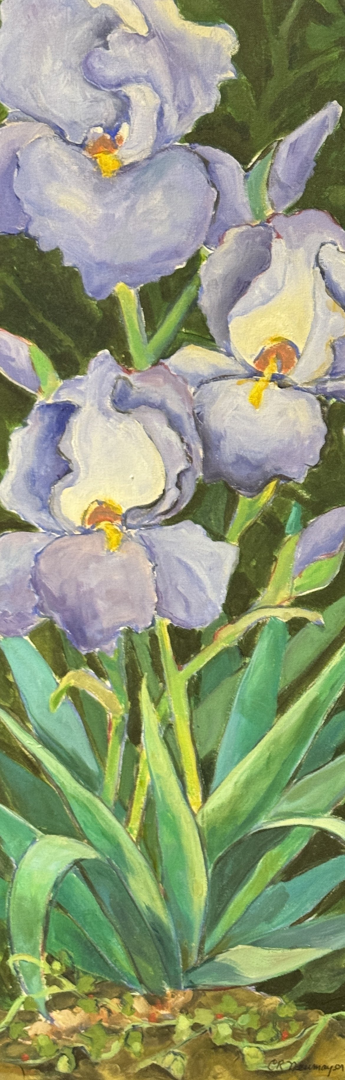 IMG_1627 irises.jpg