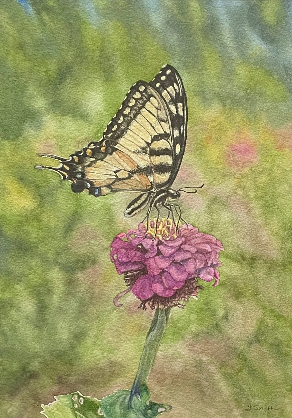 Graceful Visitor.JPG