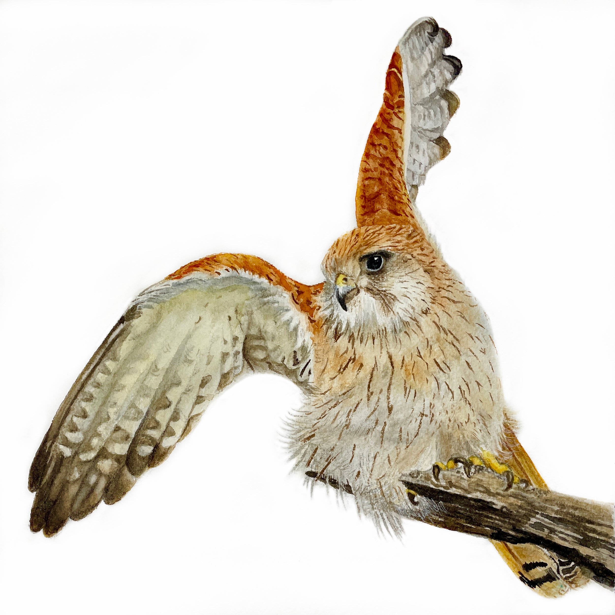 Heightened Awareness.JPG