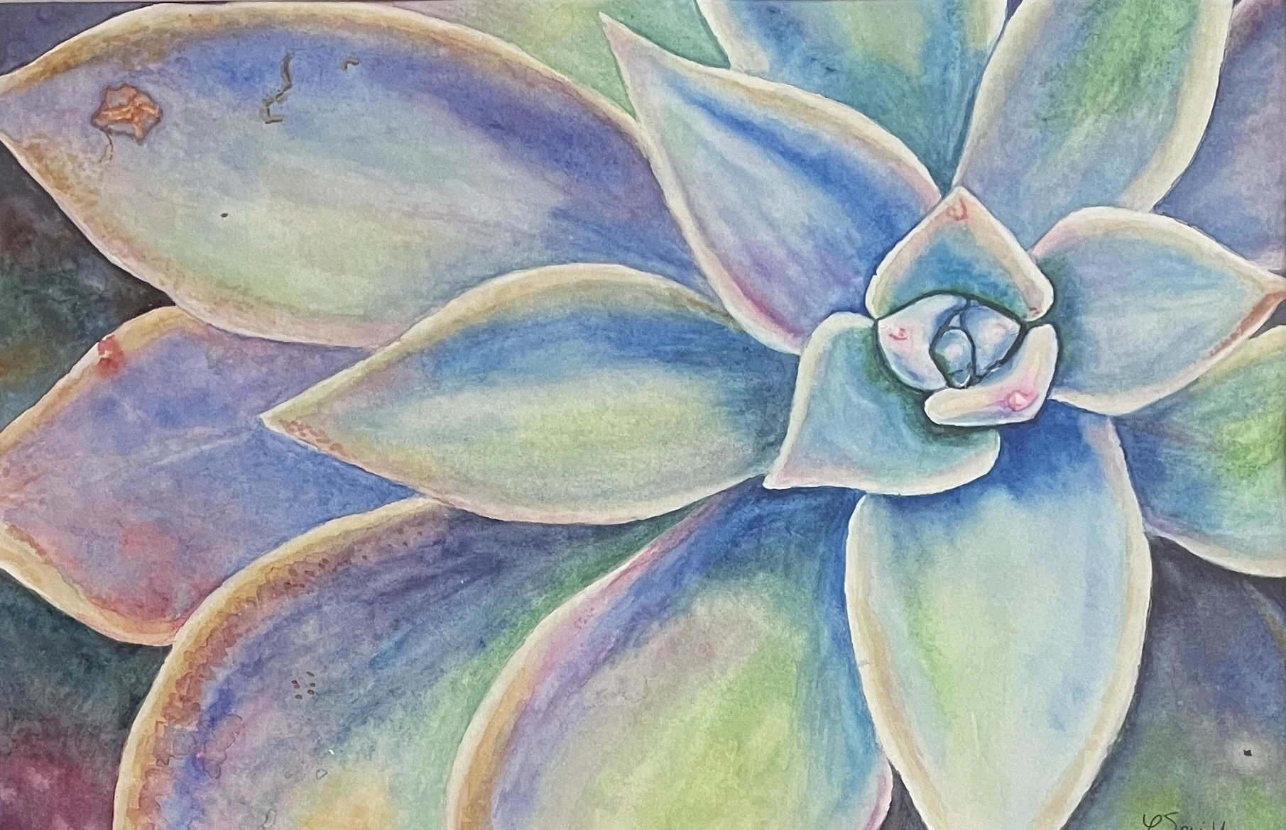 Jeweled Succulent.JPG