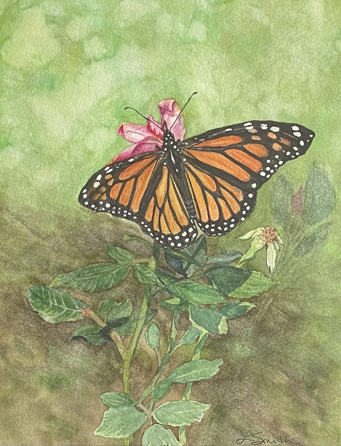 Last Taste Of Summer.JPG