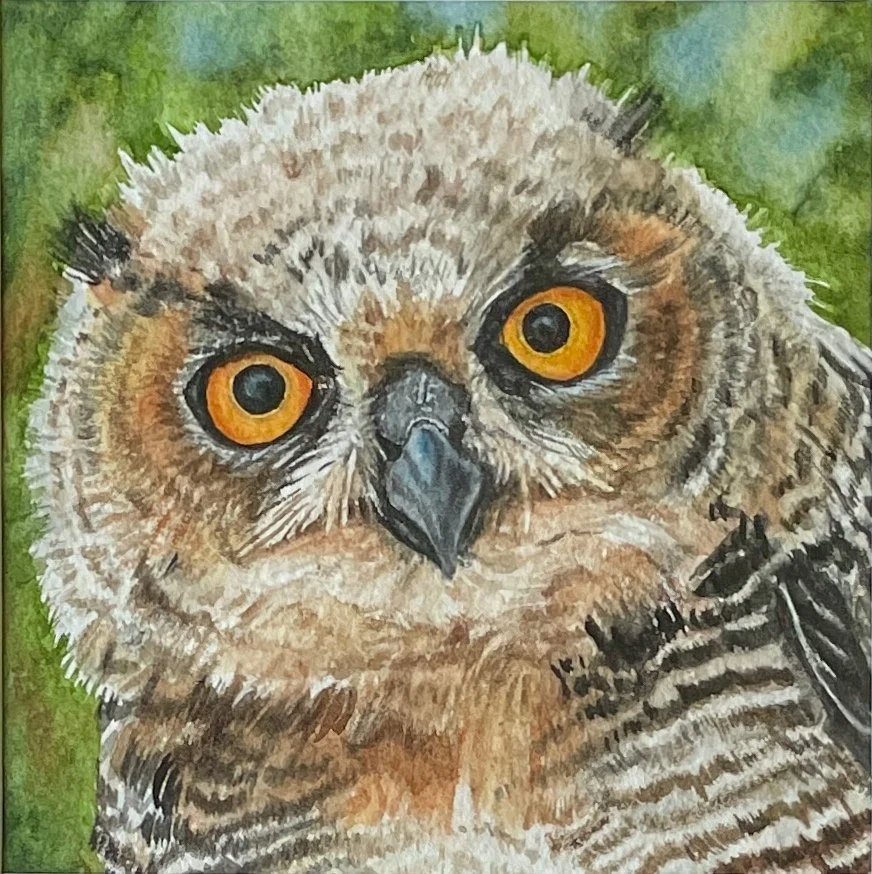 Owl Be Watching You.jpg