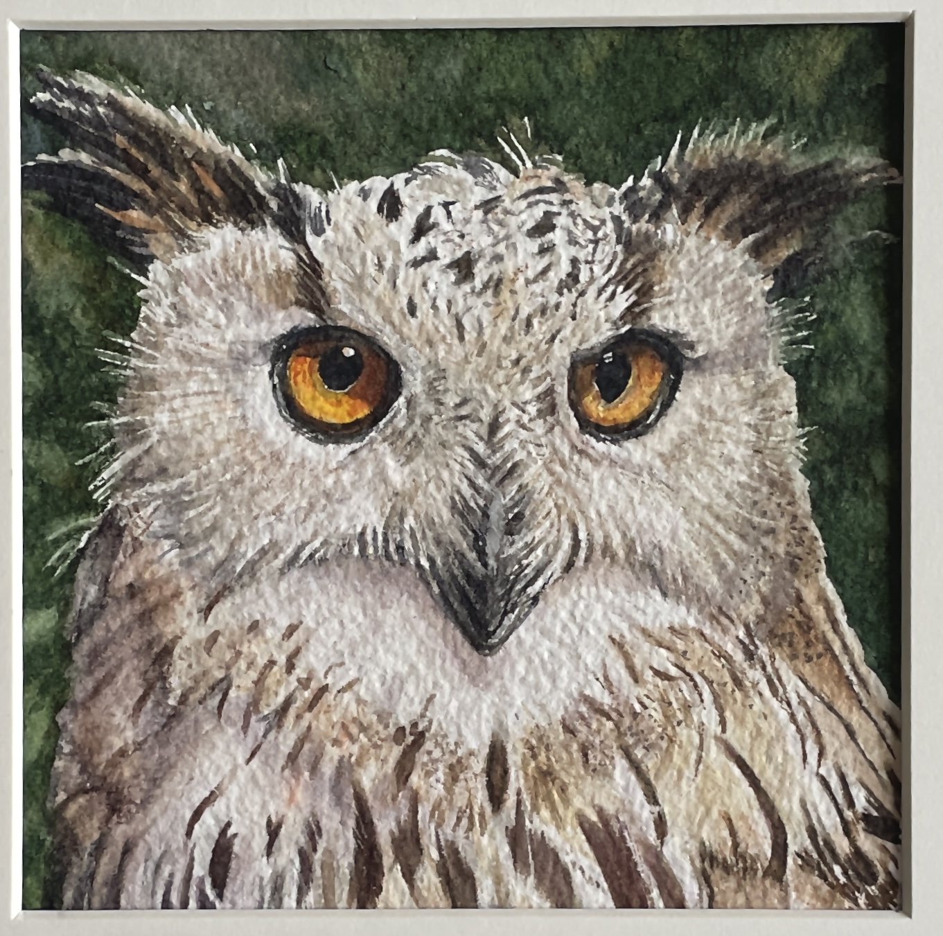 You Can Call Me Owl.JPG