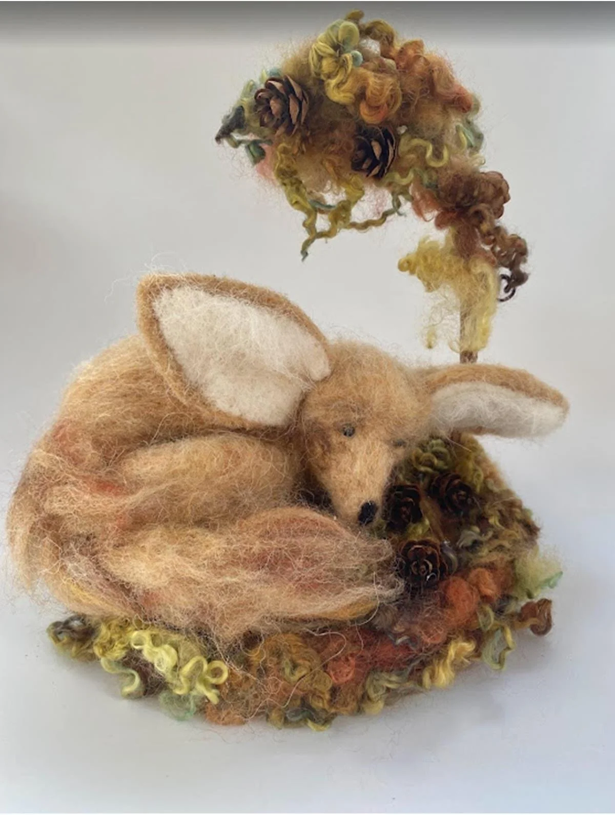 Jan Sowder, Fennec Fox