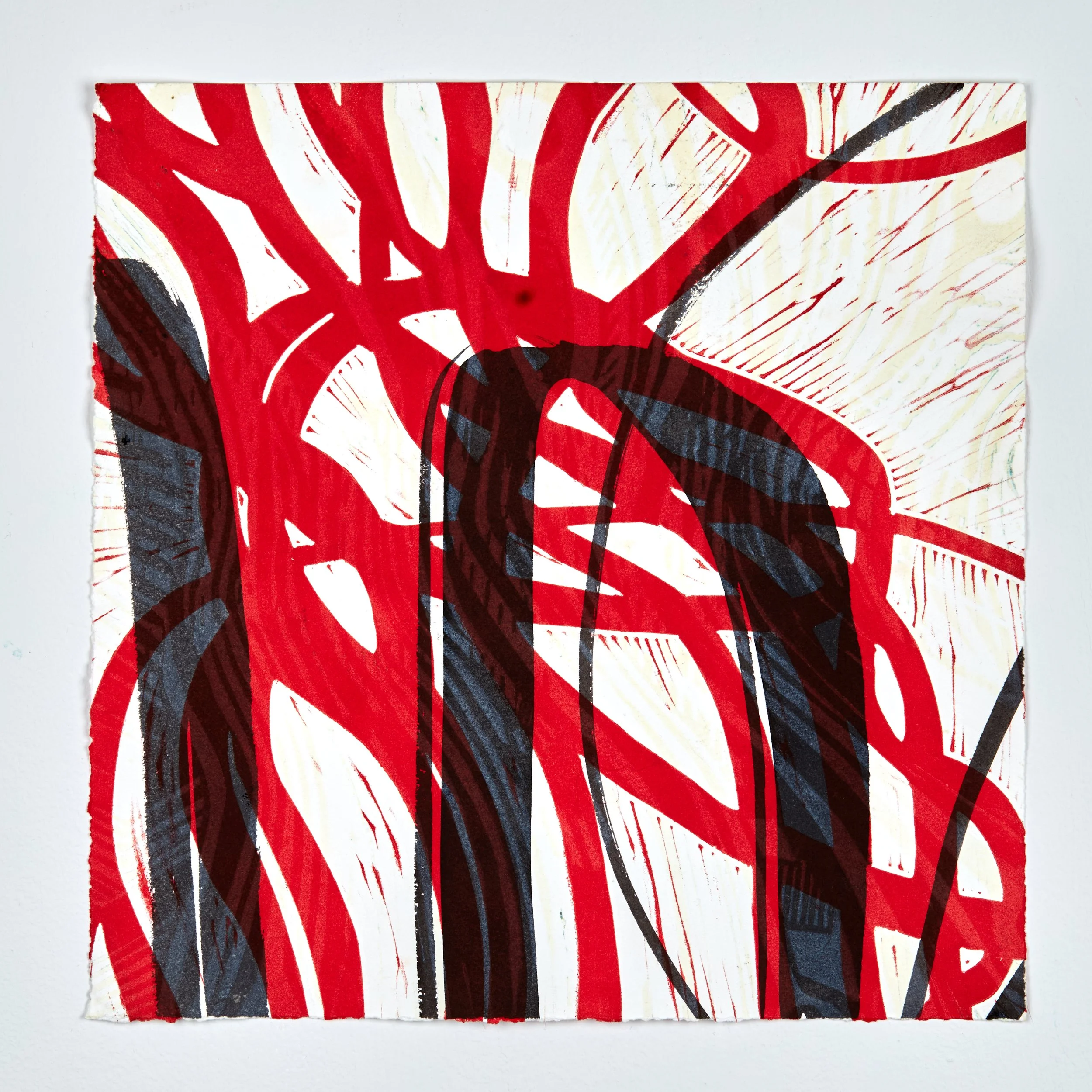 1Y0A8533_SH-Press Ready.jpg