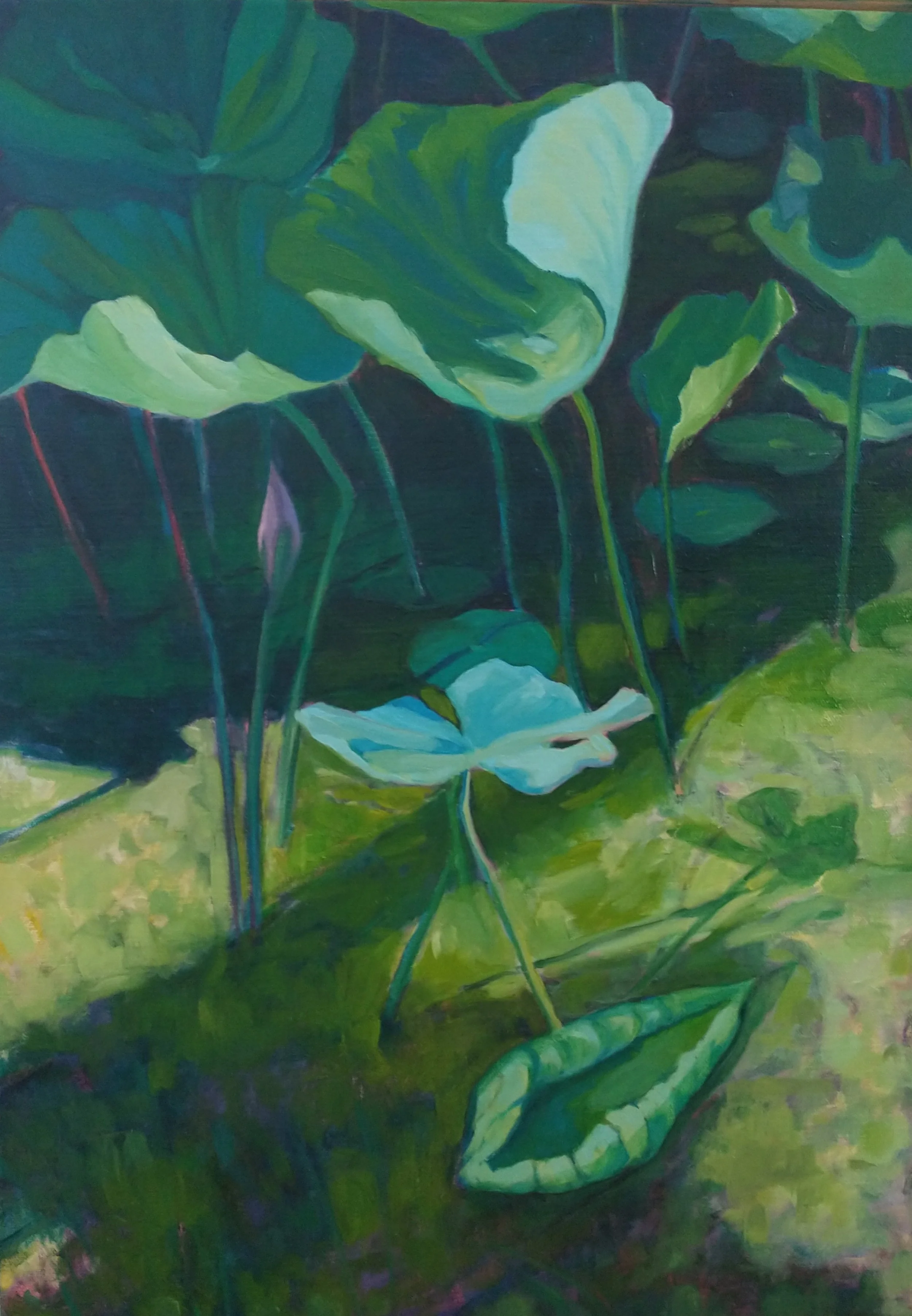 Lisa McMahan Schooling, Lotus Leaf Summer