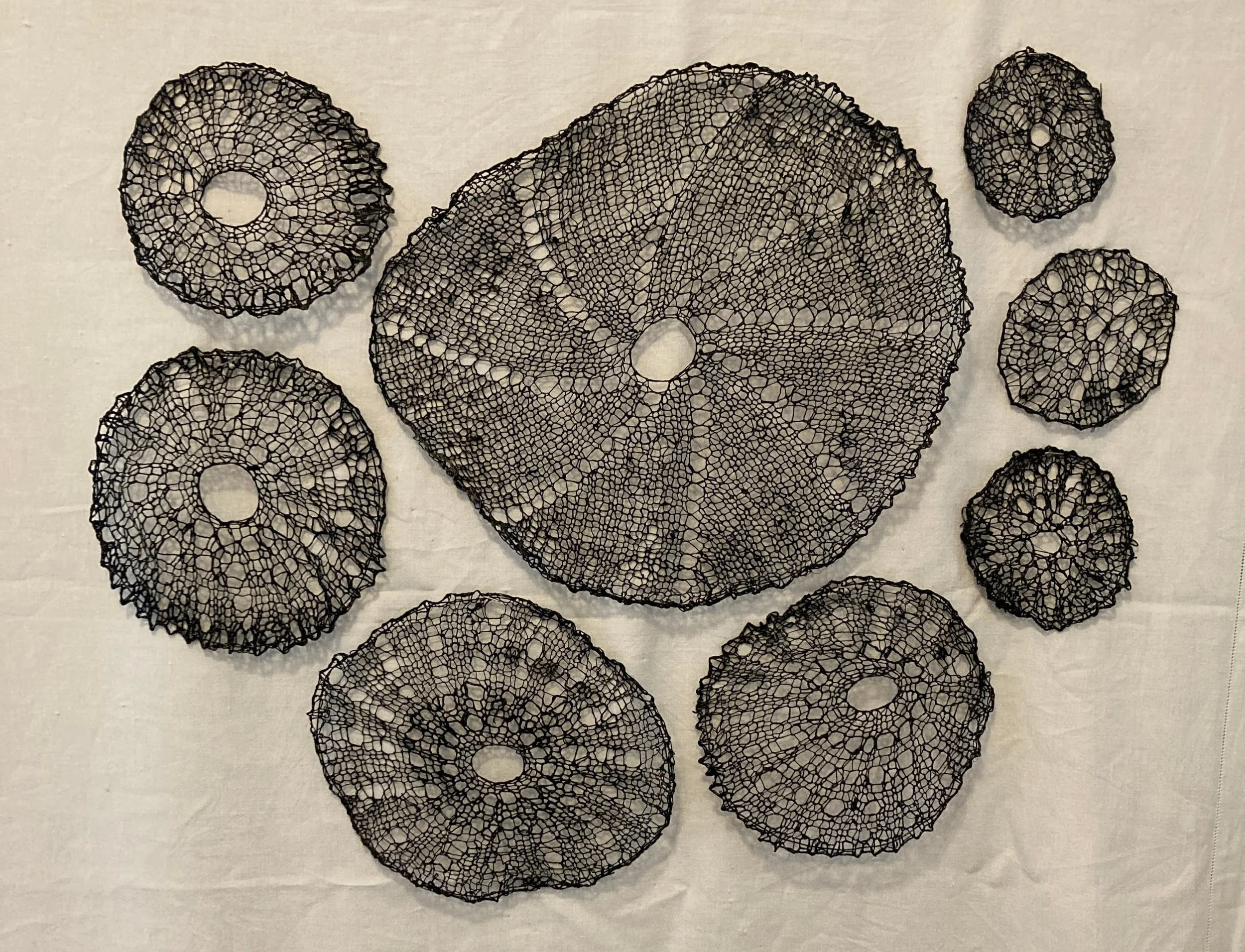 Deborah Levine,  Tree Rings