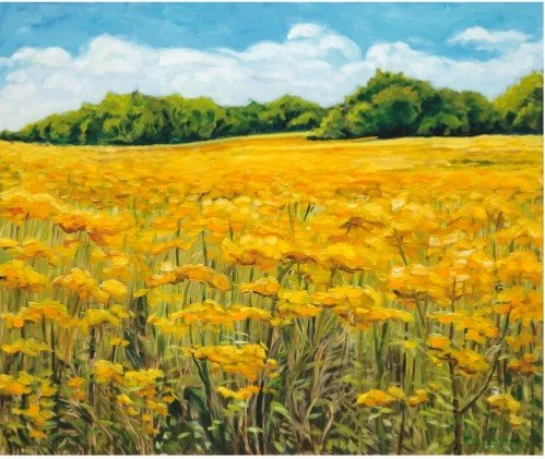 Mary Farnum Burnley, Canola Field, Indiana