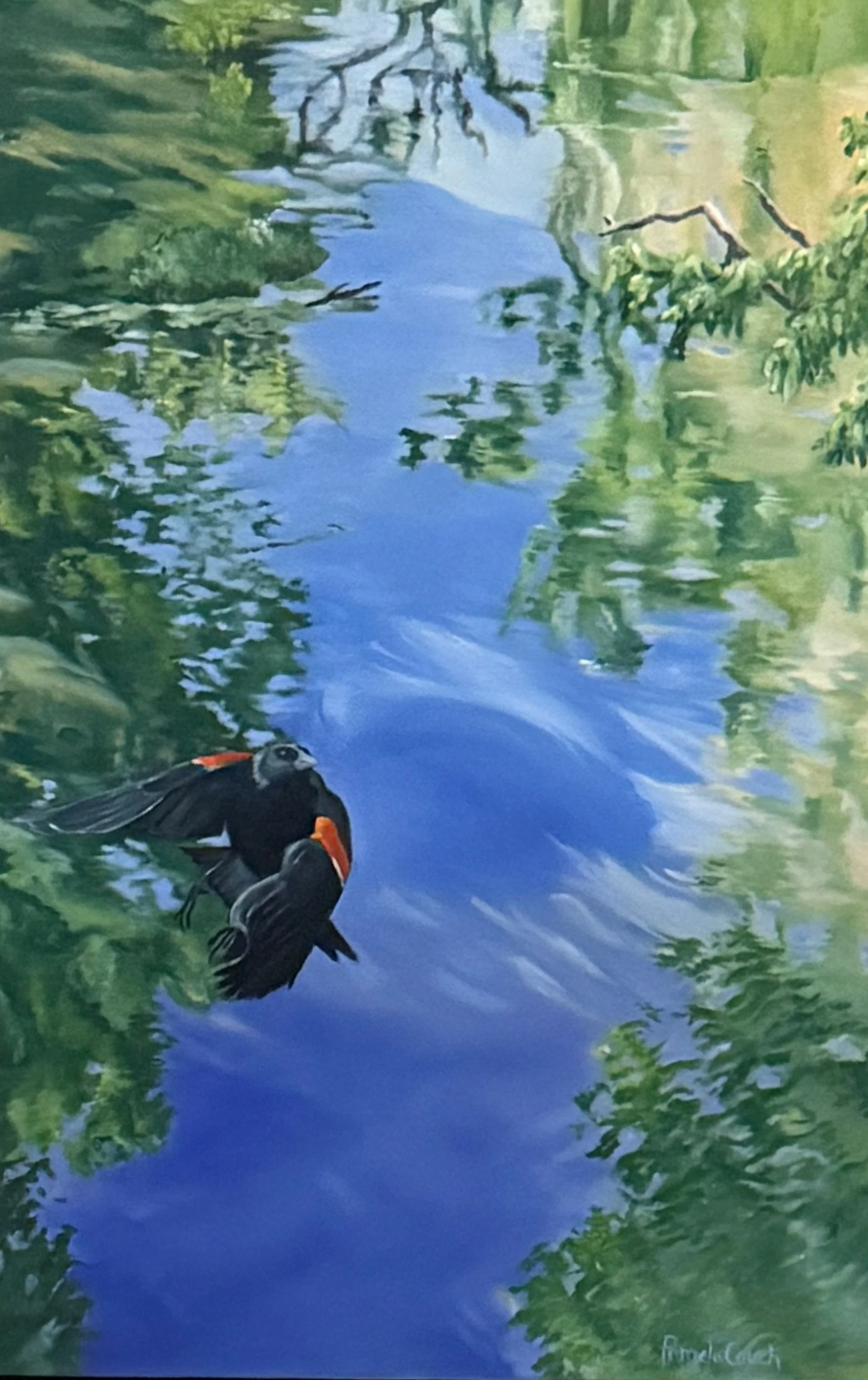Pamela Couch,  Red Wing Black Bird