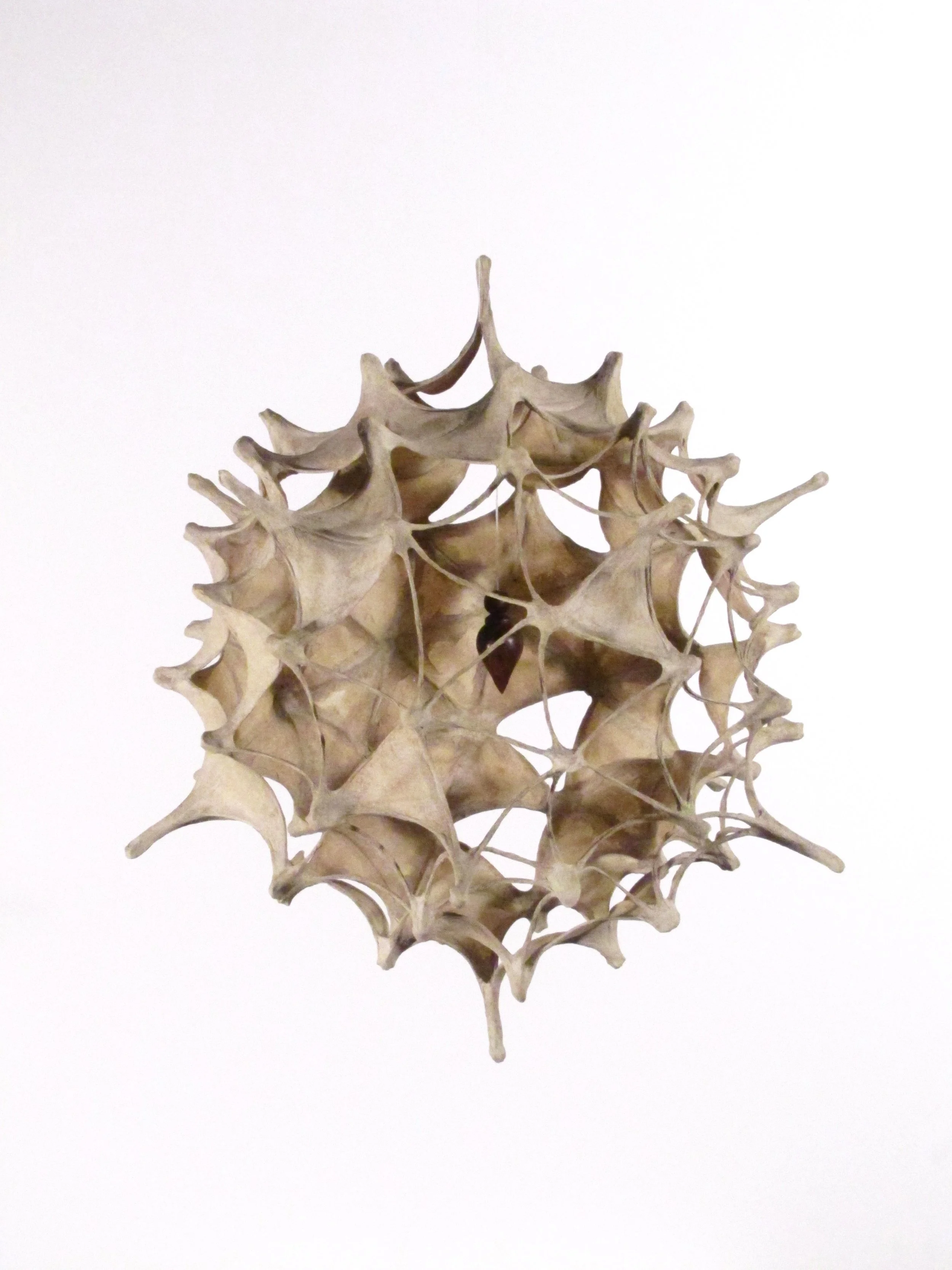 Jessica Beels,  Deconstructing HPV