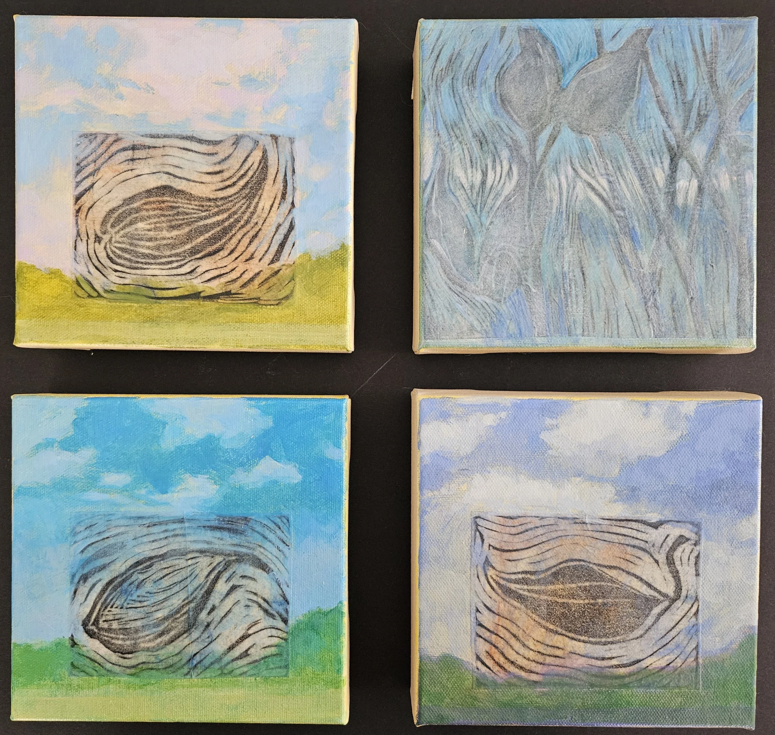 Lisa McMahan Schooling, Milkweed Pod series