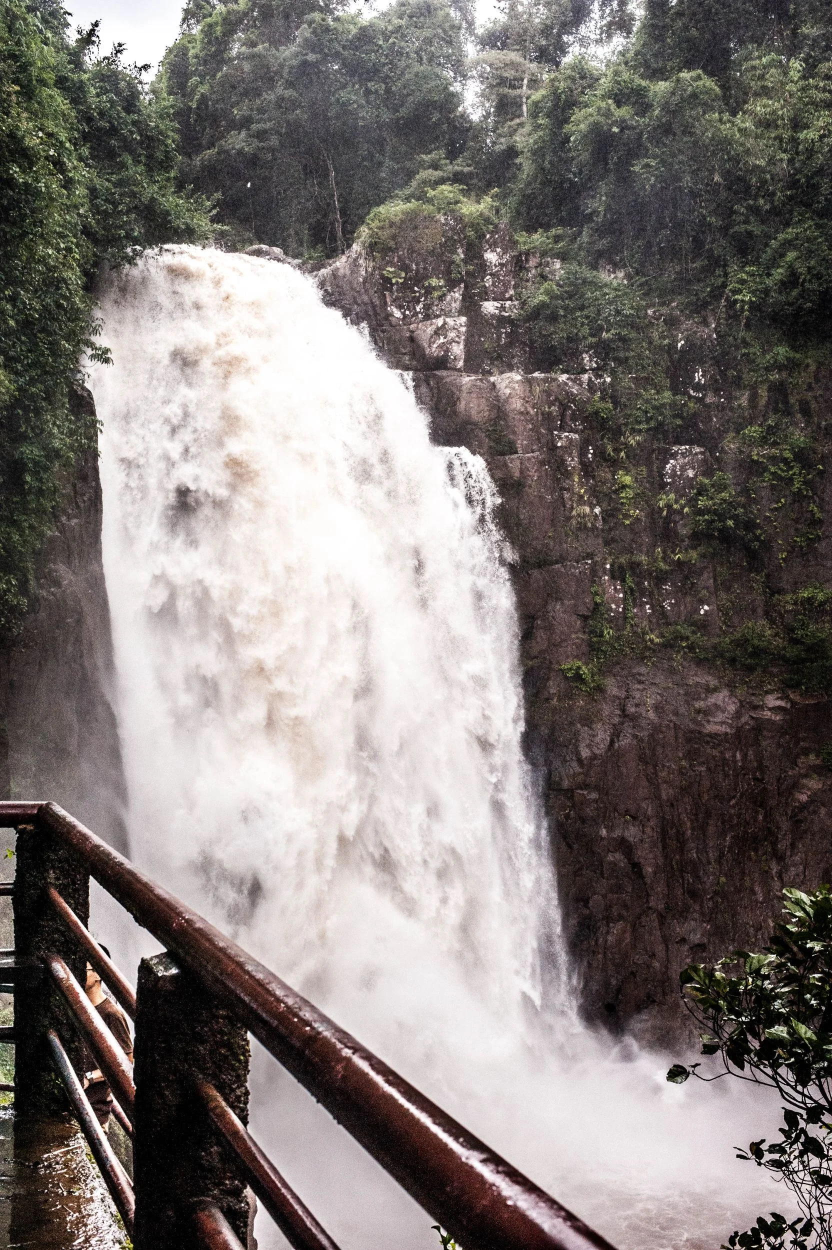 Prachinburi 2015-60_Resize.jpg