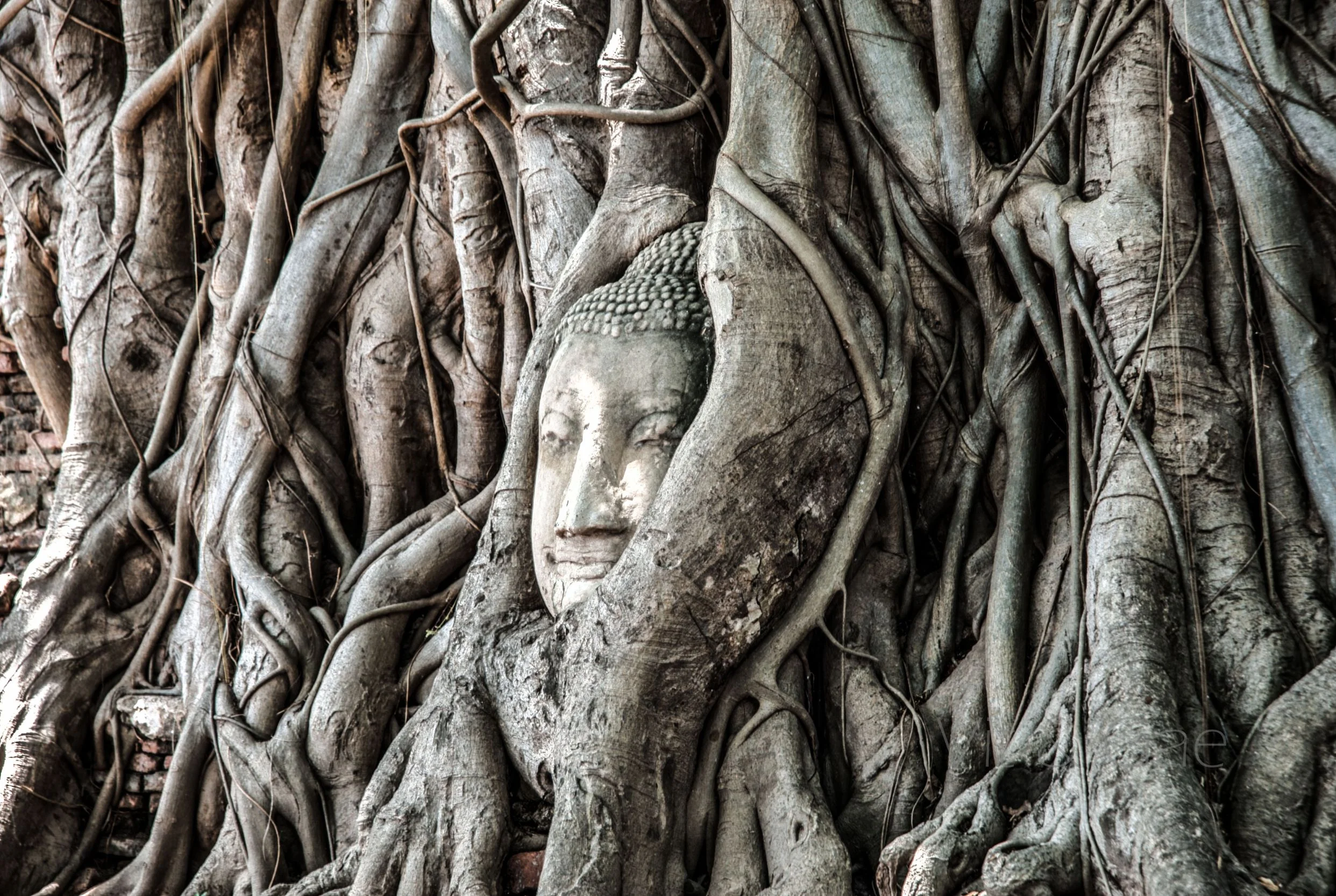 Ayutthaya-36_Resize.jpg