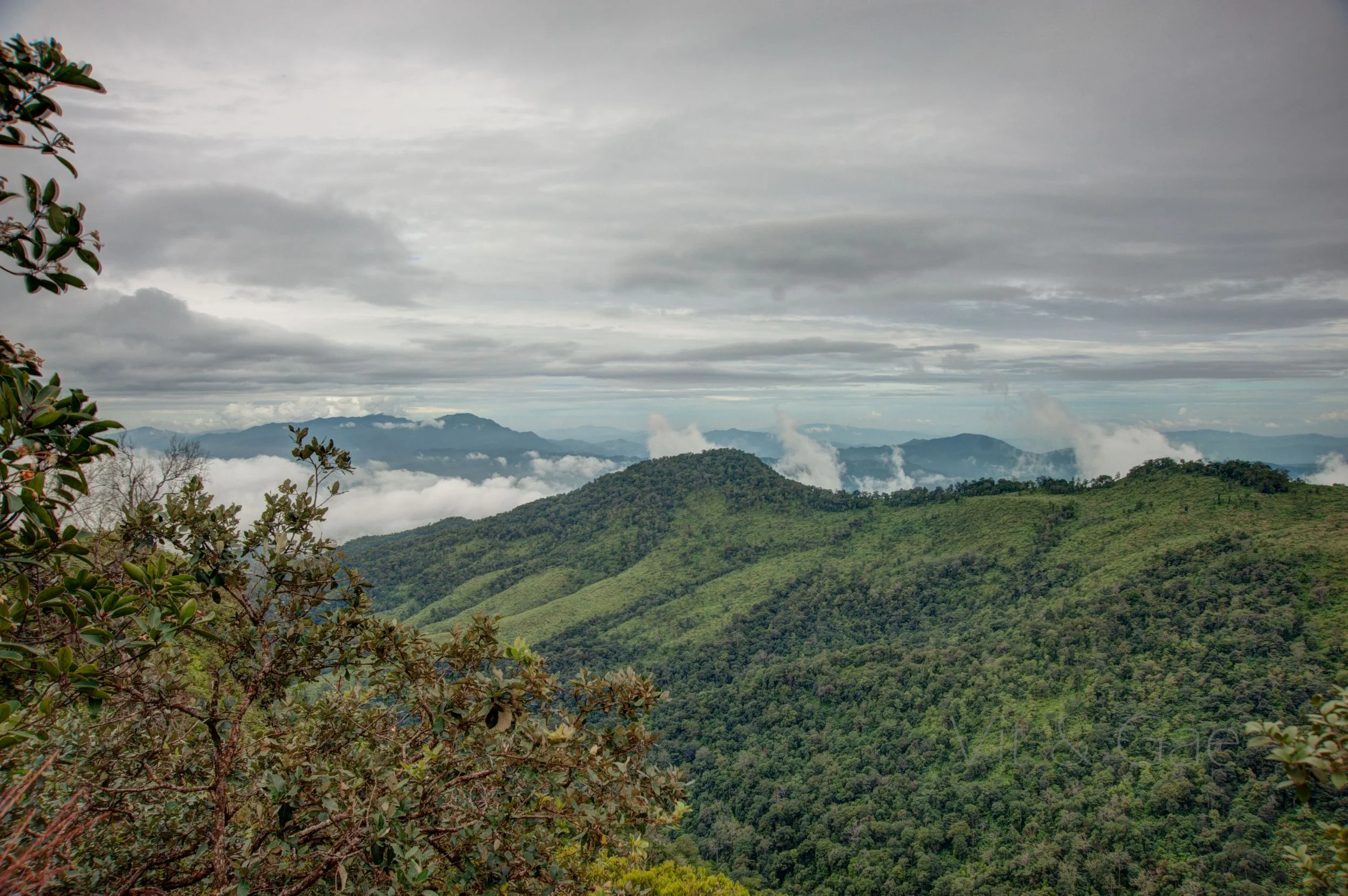 Phusoidao 2016-490_Resize.jpg
