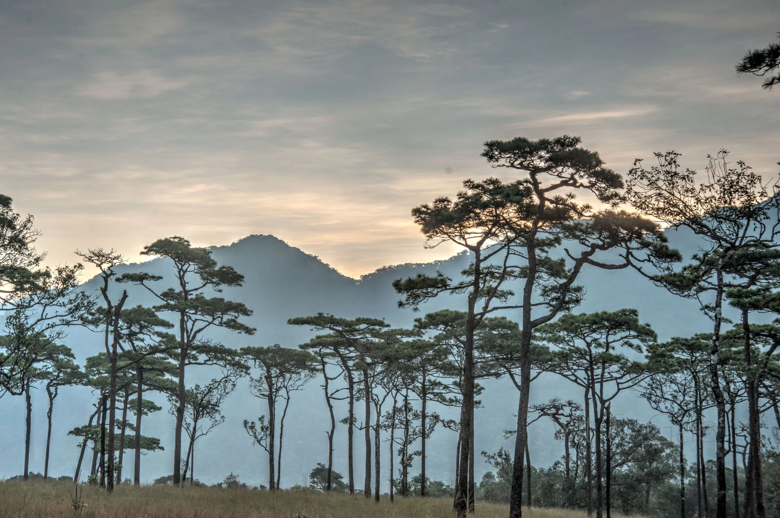 Phusoidao 2016-393_Resize.jpg